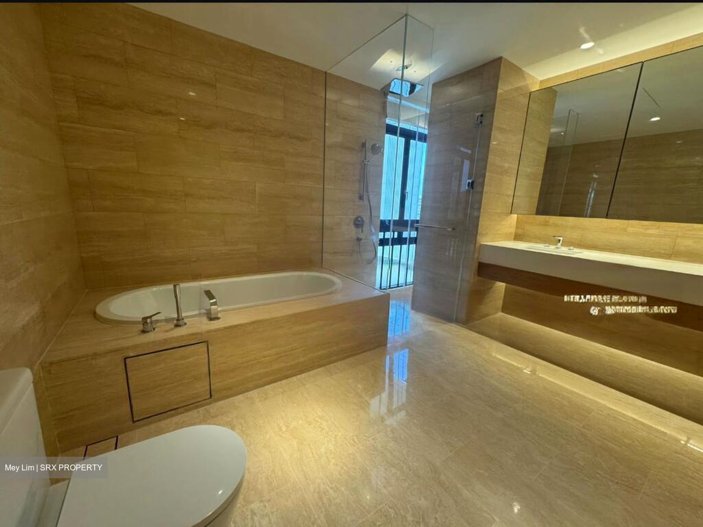 The Colonnade (D10), Condominium #455627201